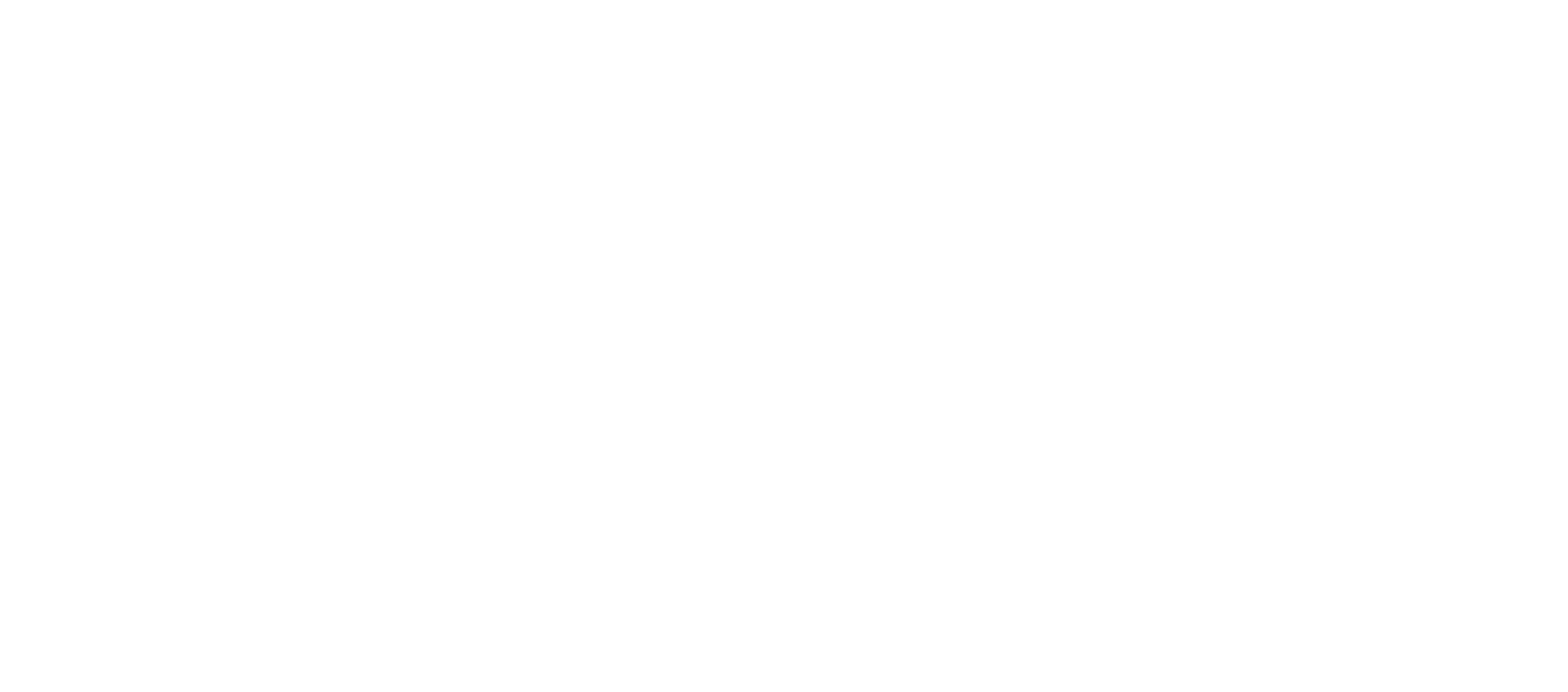 BORAN x PAROT Signature Logo White