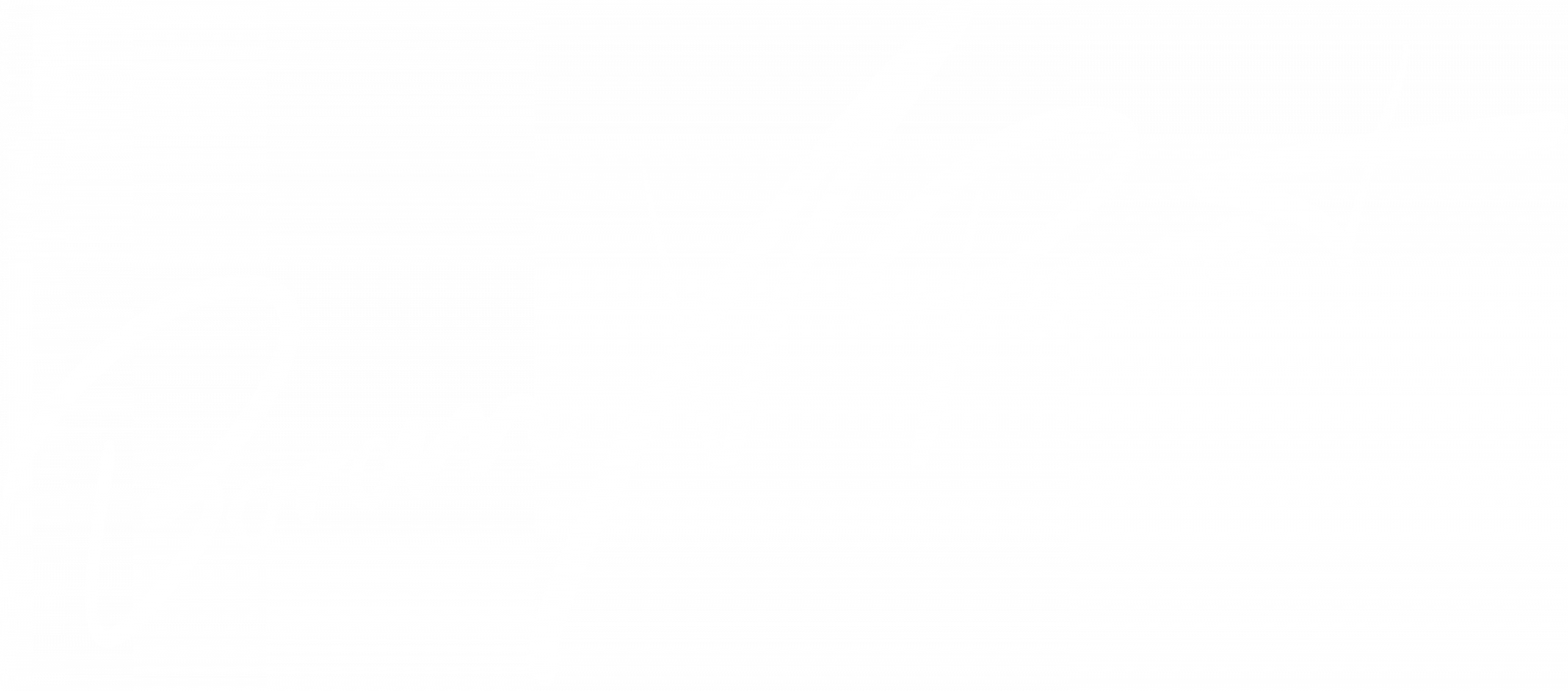 BORAN x PAROT Signature Logo White