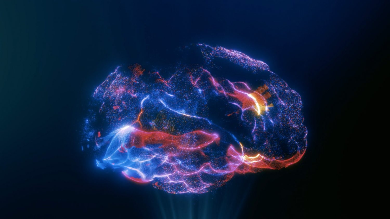 BORAN x PAROT AI Automation System